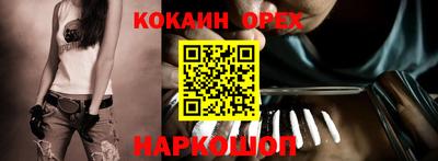 гидра Новодвинск