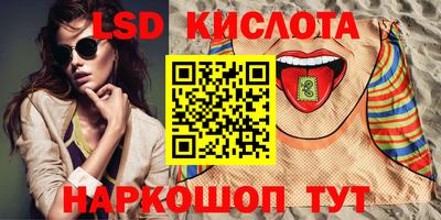 прущие грибы Новозыбков
