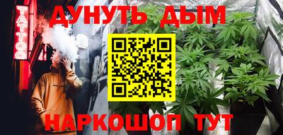 прущие грибы Новозыбков