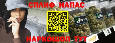 прущие грибы Новозыбков