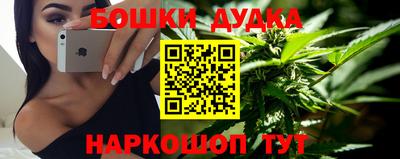 прущие грибы Новозыбков