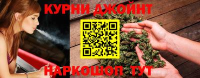 гидра Новодвинск