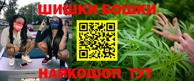 прущие грибы Новозыбков