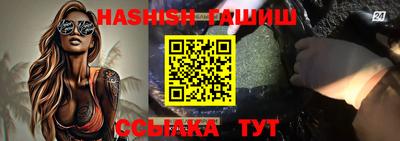 гидра Новодвинск