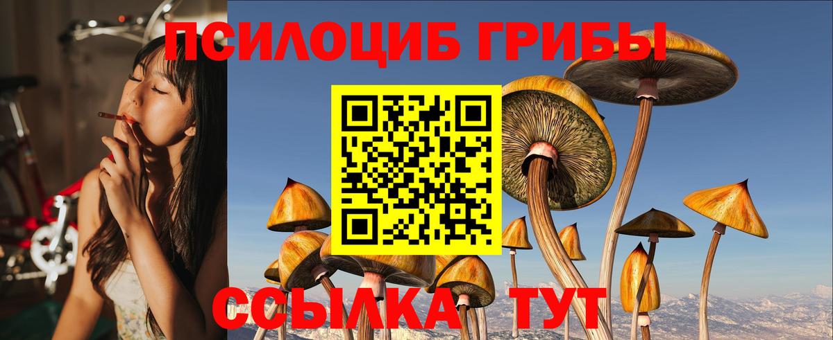 Галлюциногенные грибы Psilocybine cubensis Ростов Великий